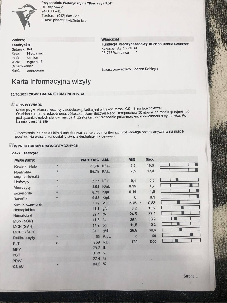 Landrynka - już w domu :)