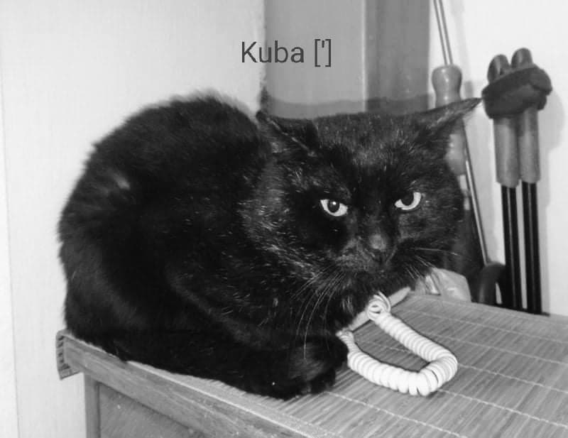 Kuba [']