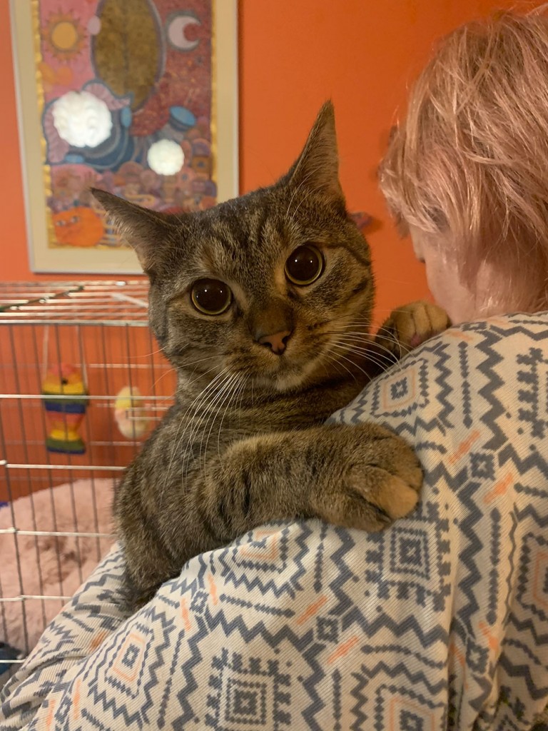 Adoptusie. Miłka. W domu :)