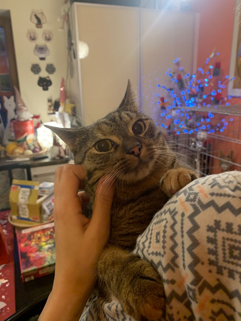 Adoptusie. Miłka. W domu :)