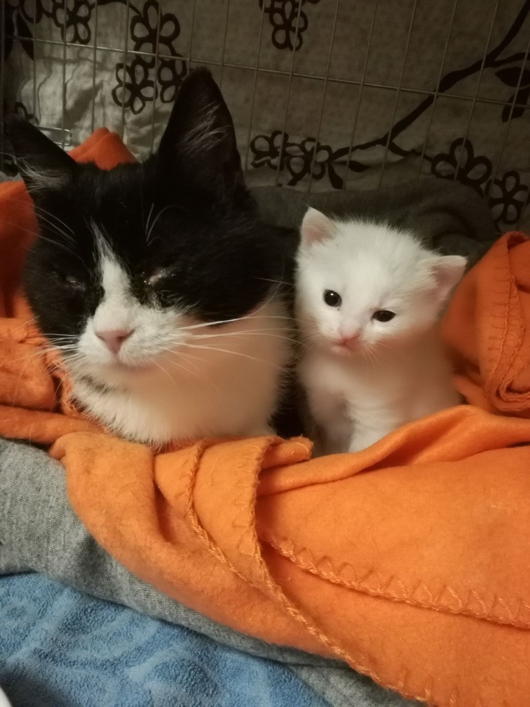 Holly i Promyczek – w jednym domu :)