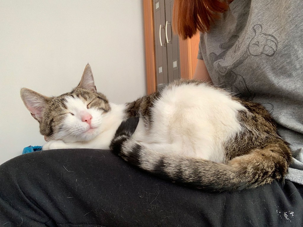 Adoptusie. Tosia - przyjaciółka od serca. W domu :)