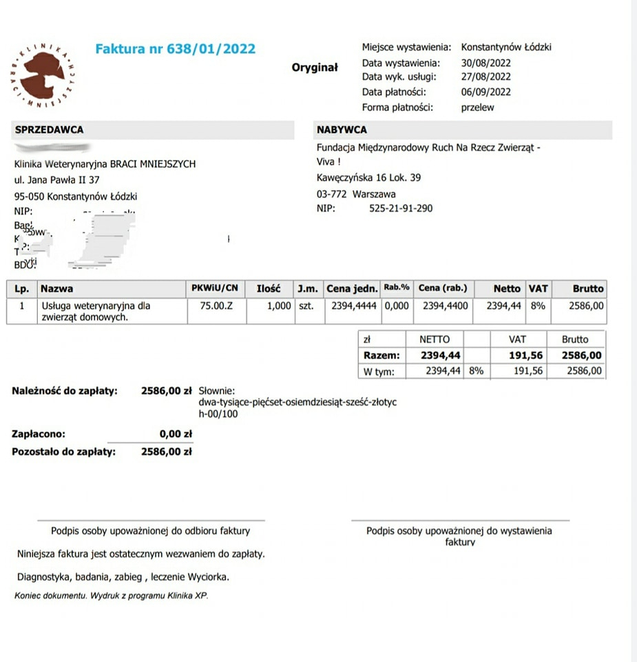 Czy pamiętacie naszego biednego Zuzolka?