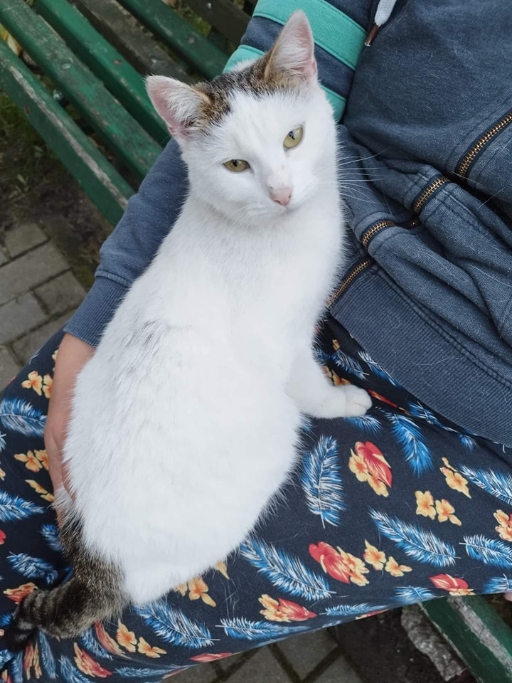 Porzucona Brzózka - w domu :)