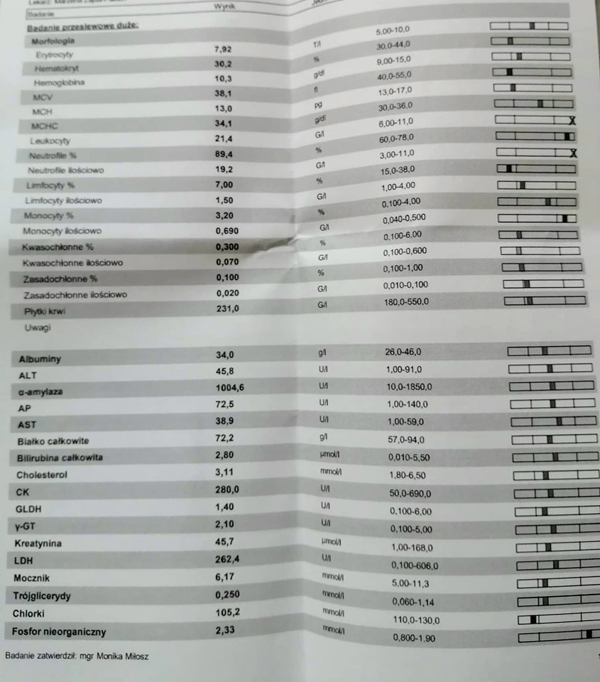 Słupek - szuka domu z kocim towarzystwem :)