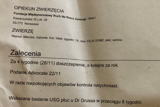 Mleczko - w domu :)