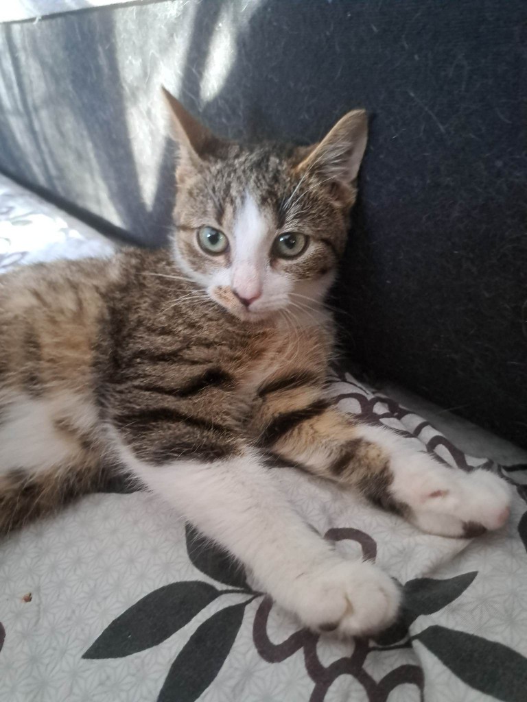 Nasza mała Sendi - zmiany :)