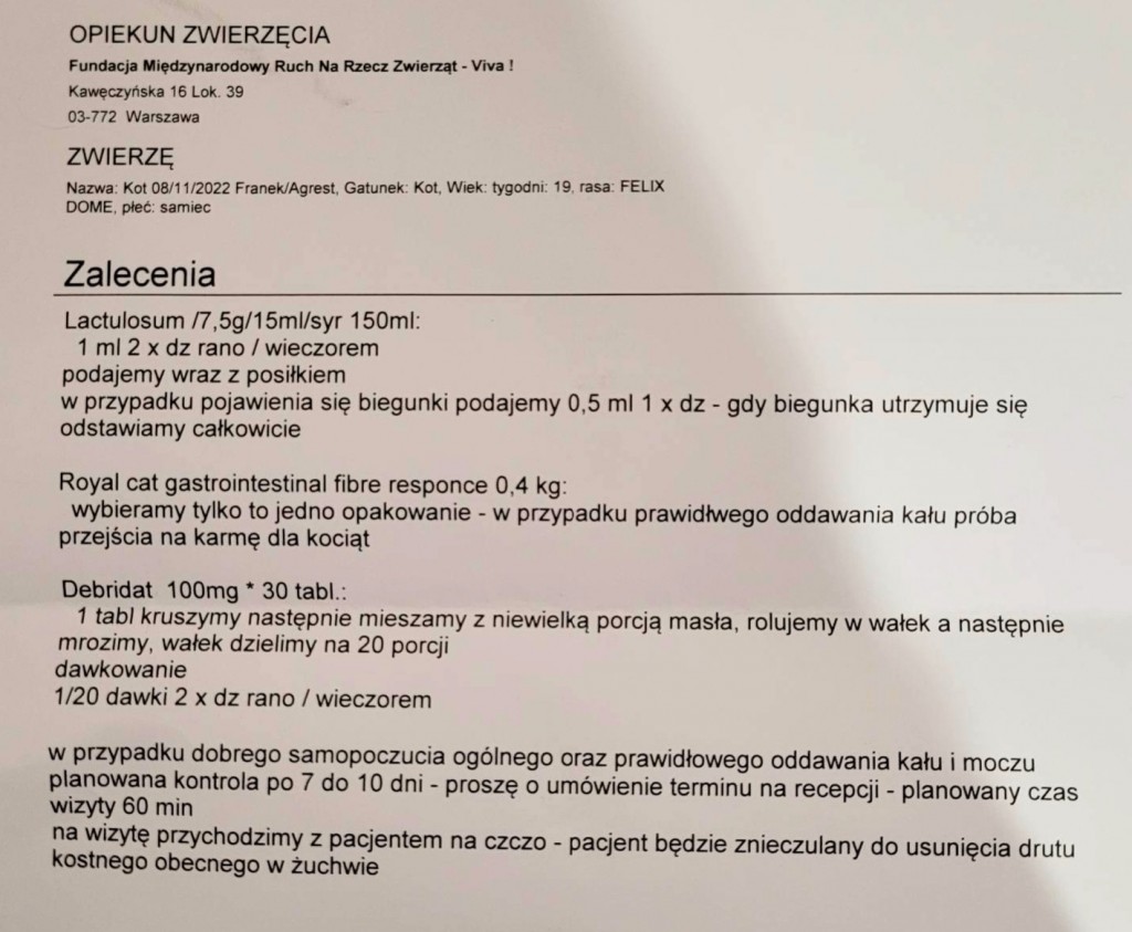Franio pozdrawia z domu :)