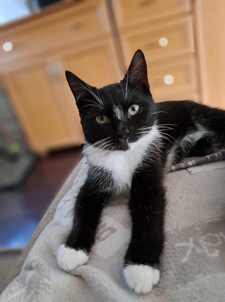 Adoptusie. Ignaś. W domu :)