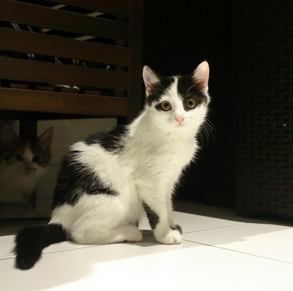 Adoptusie. Darlise i Giove. W domu :)