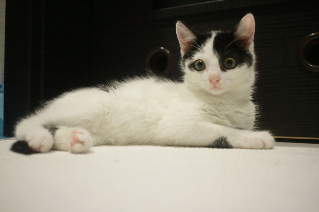Adoptusie. Darlise i Giove. W domu :)