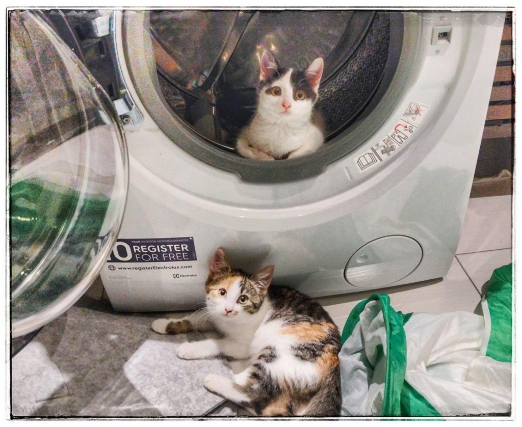 Adoptusie. Darlise i Giove. W domu :)