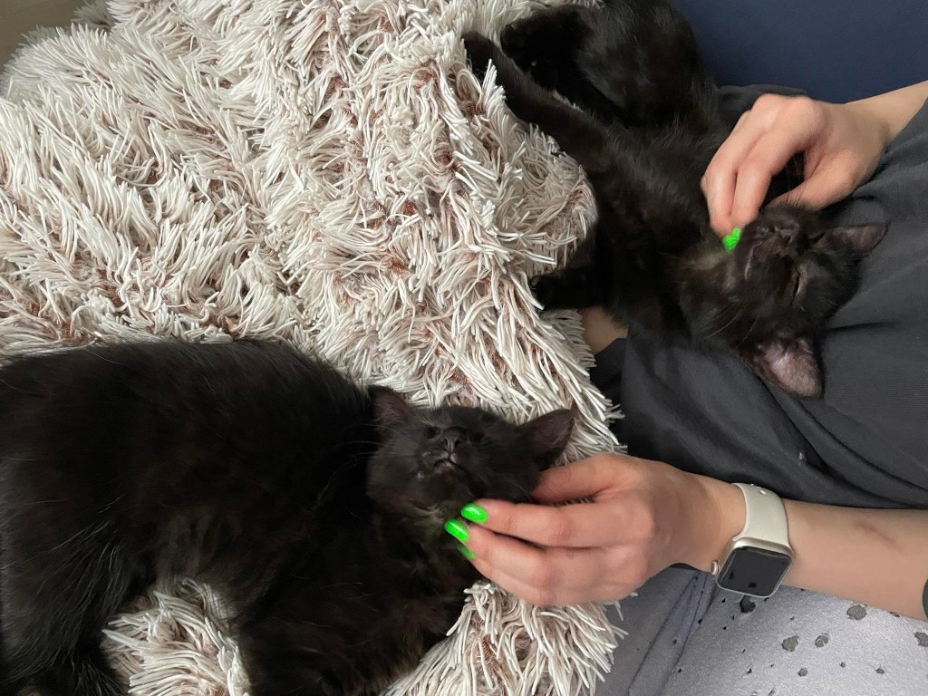 Adoptusie. Do i Re – koteczki ze szkoły muzycznej. W domach :)