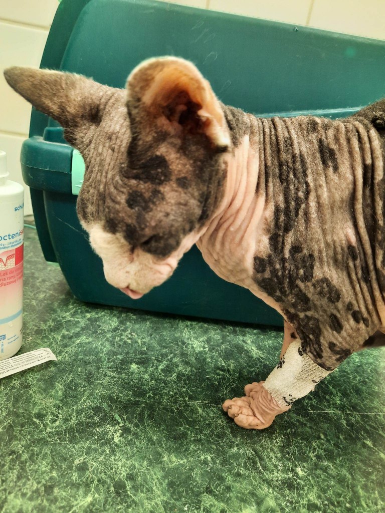 Mimi i Mini – nowe ścieżki życia :)
