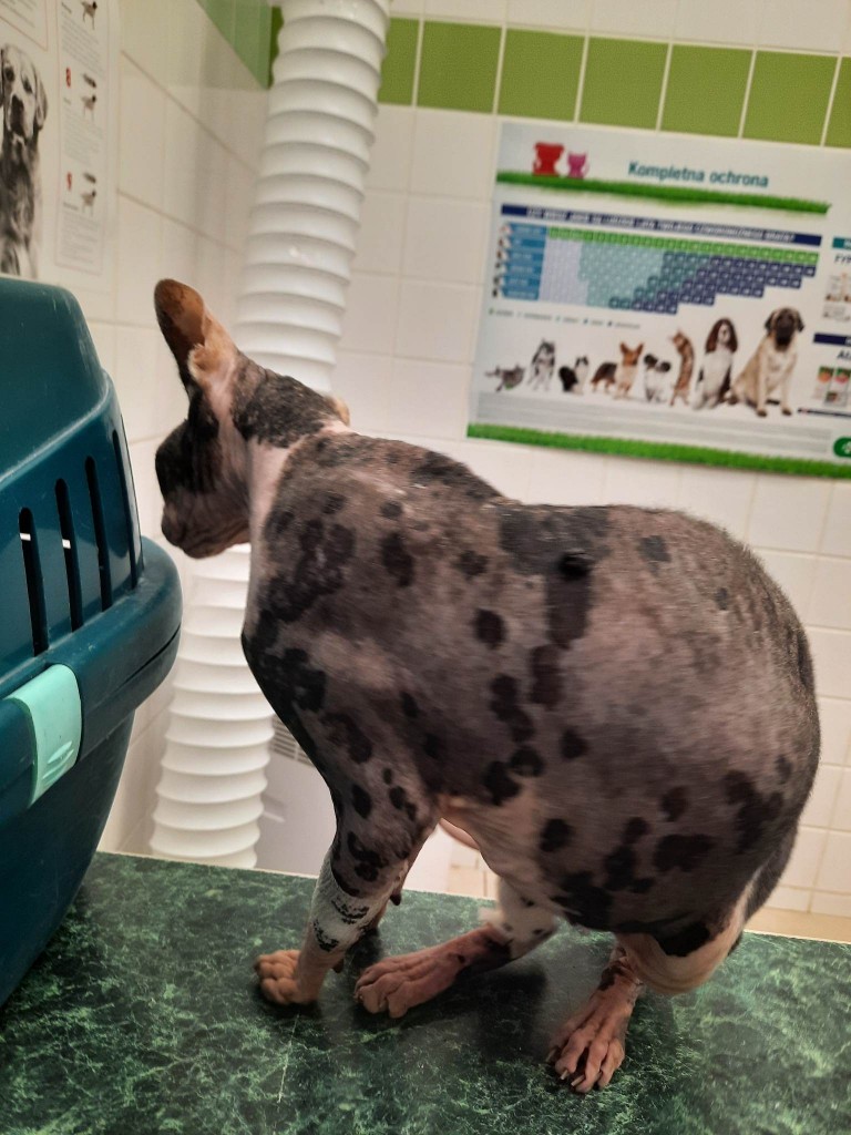 Mimi i Mini – nowe ścieżki życia :)