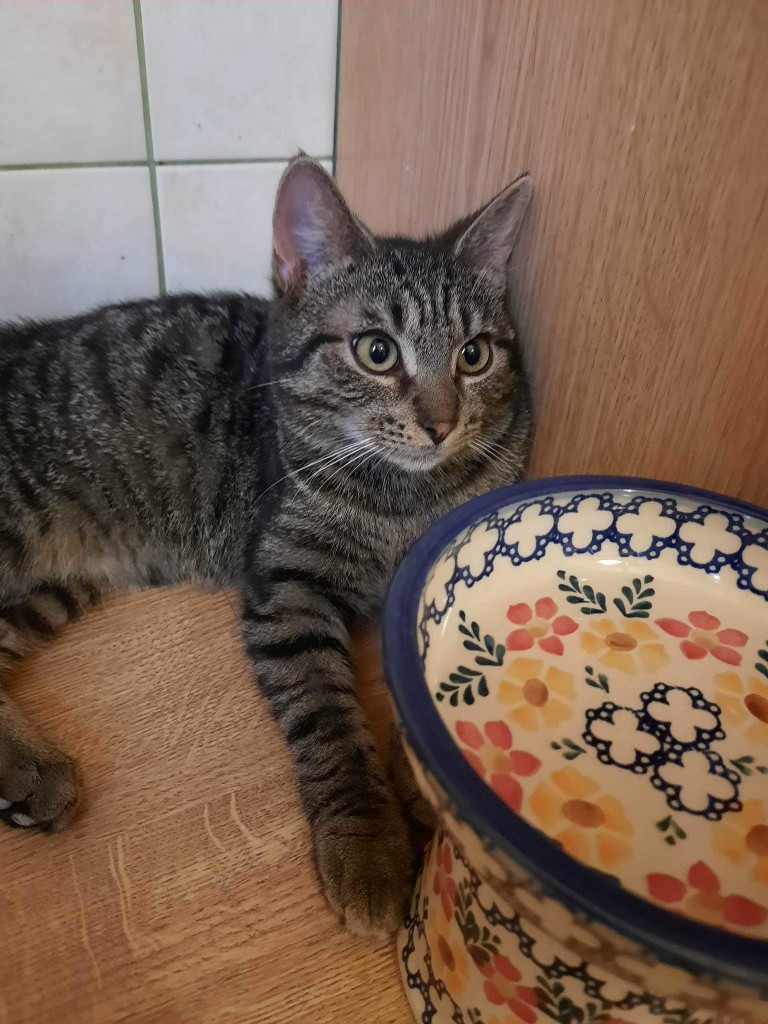 Adoptusie. Irek z Bałut. W domu :)