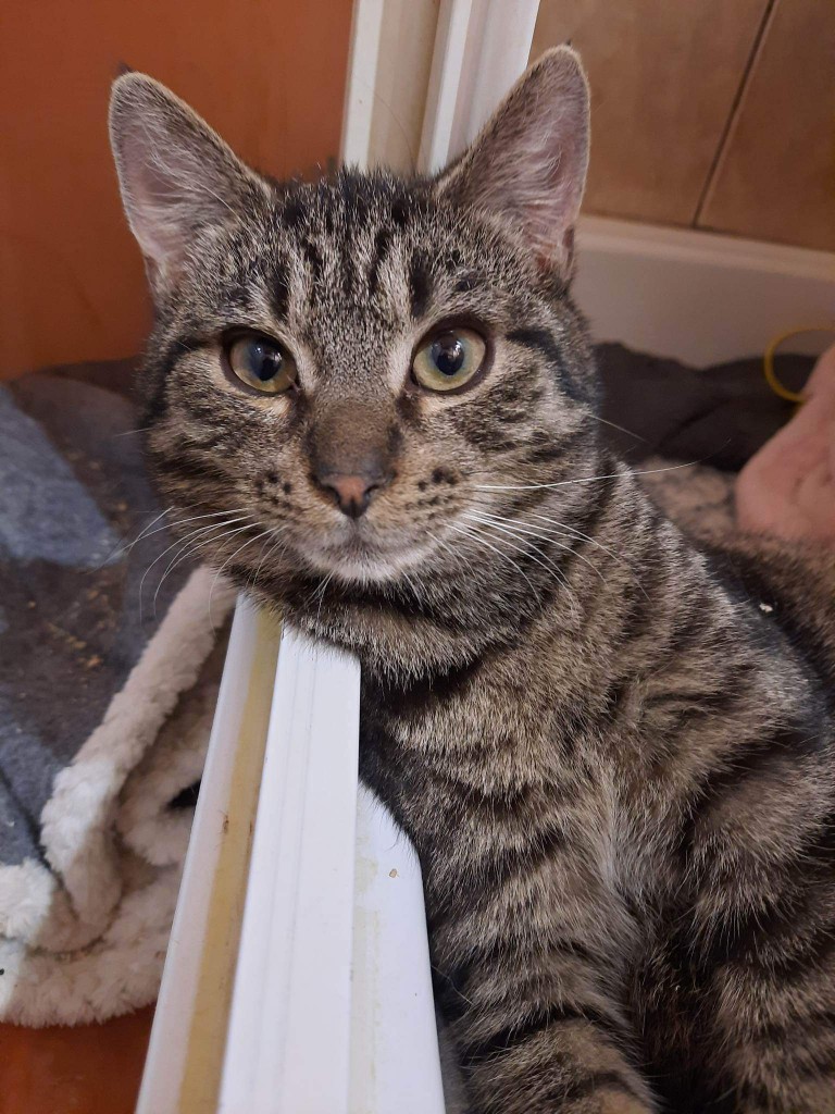 Adoptusie. Irek z Bałut. W domu :)