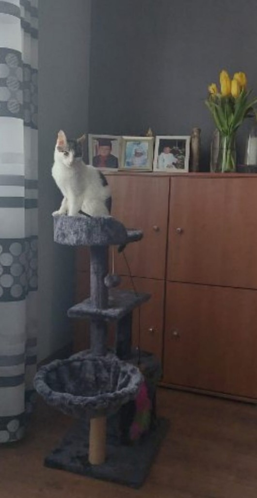 Trufelek – w domu :)
