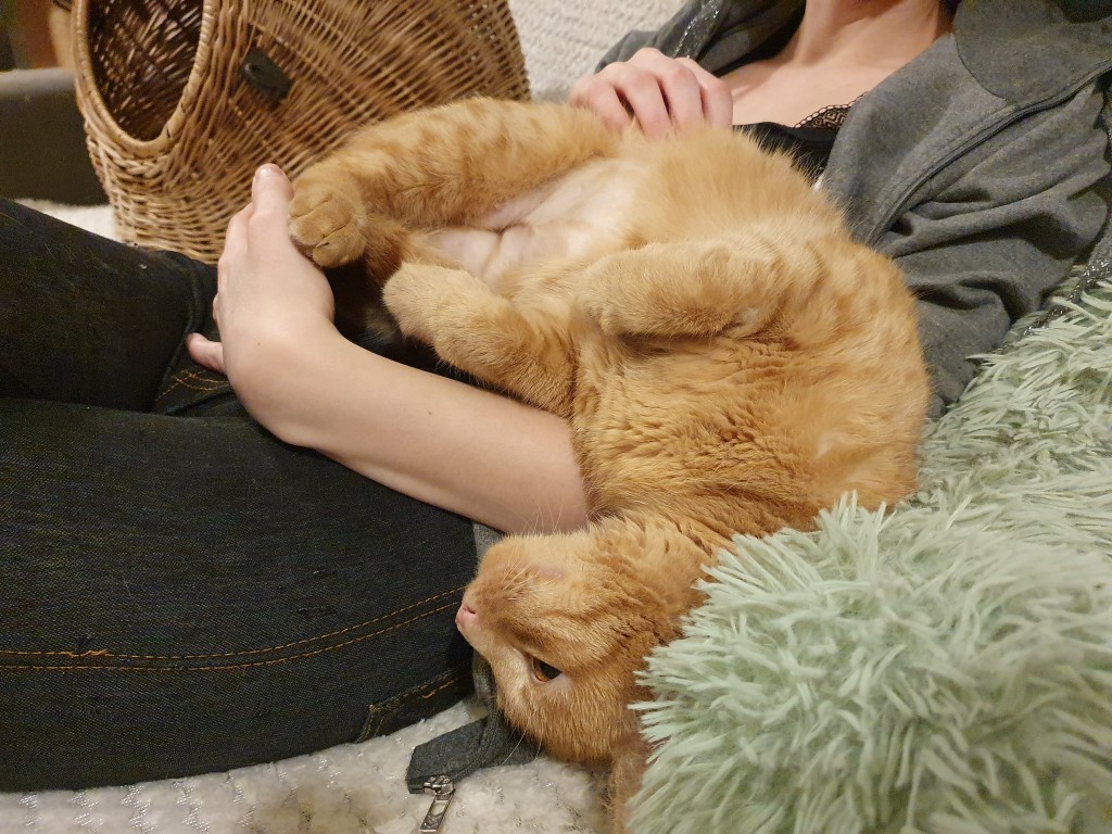 Adoptusie. Królewna Bursztynka. Adoptowana :)