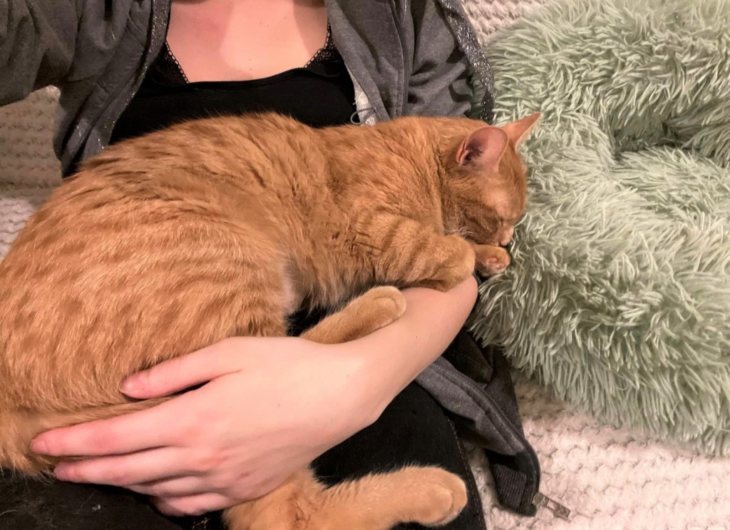 Adoptusie. Królewna Bursztynka. Adoptowana :)