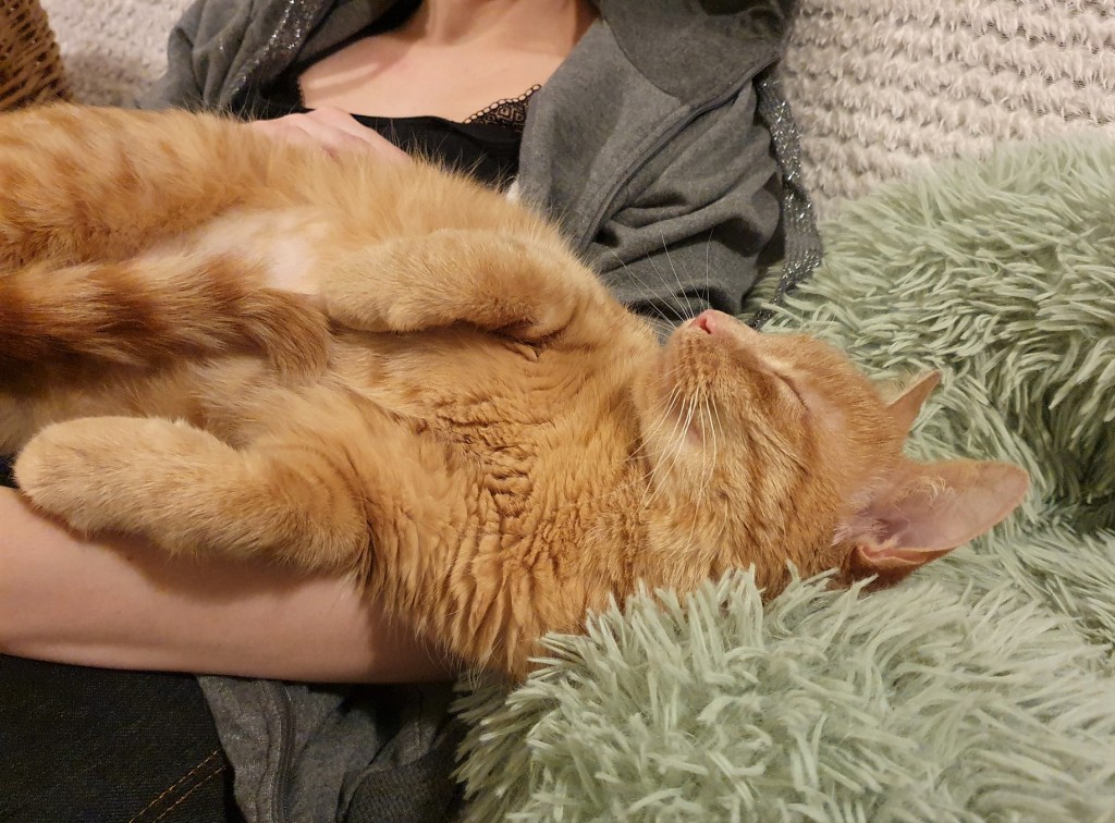 Adoptusie. Królewna Bursztynka. Adoptowana :)
