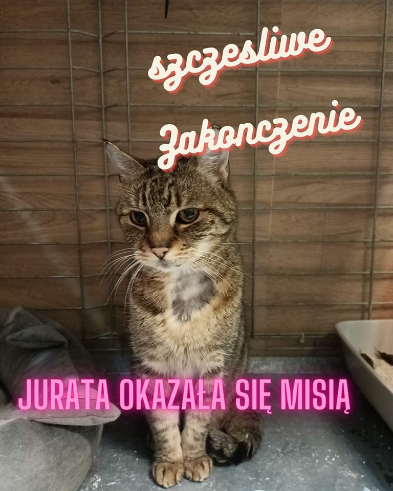 Jurata - szcęśliwy powrót do domu :)