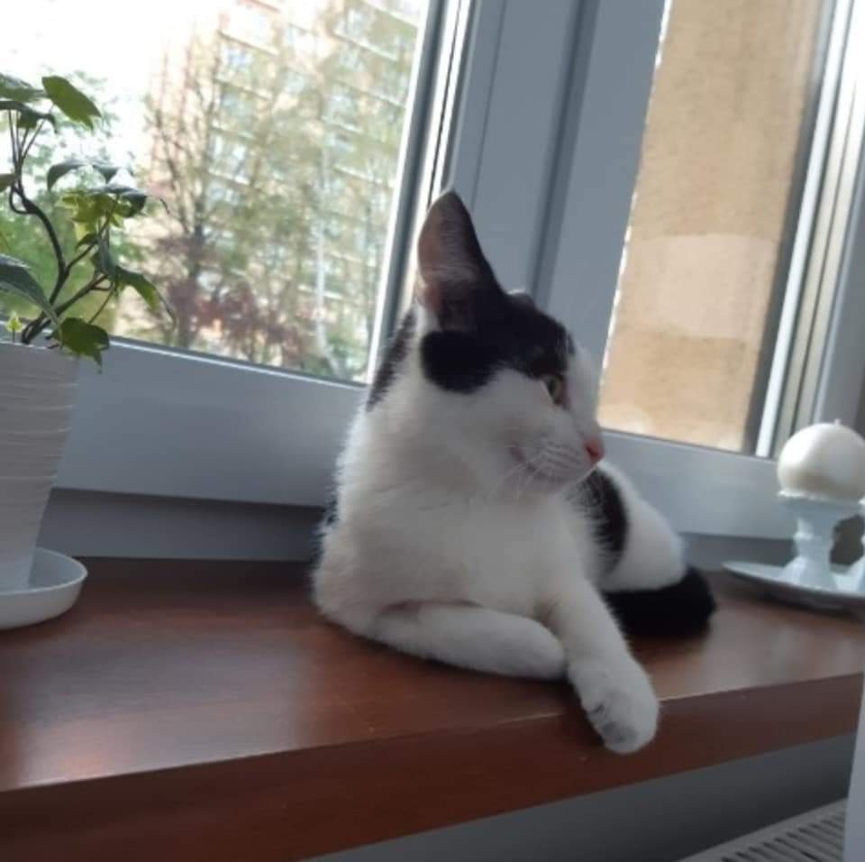 Fistaszek w domu :)