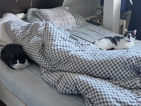 Latika w domu :)