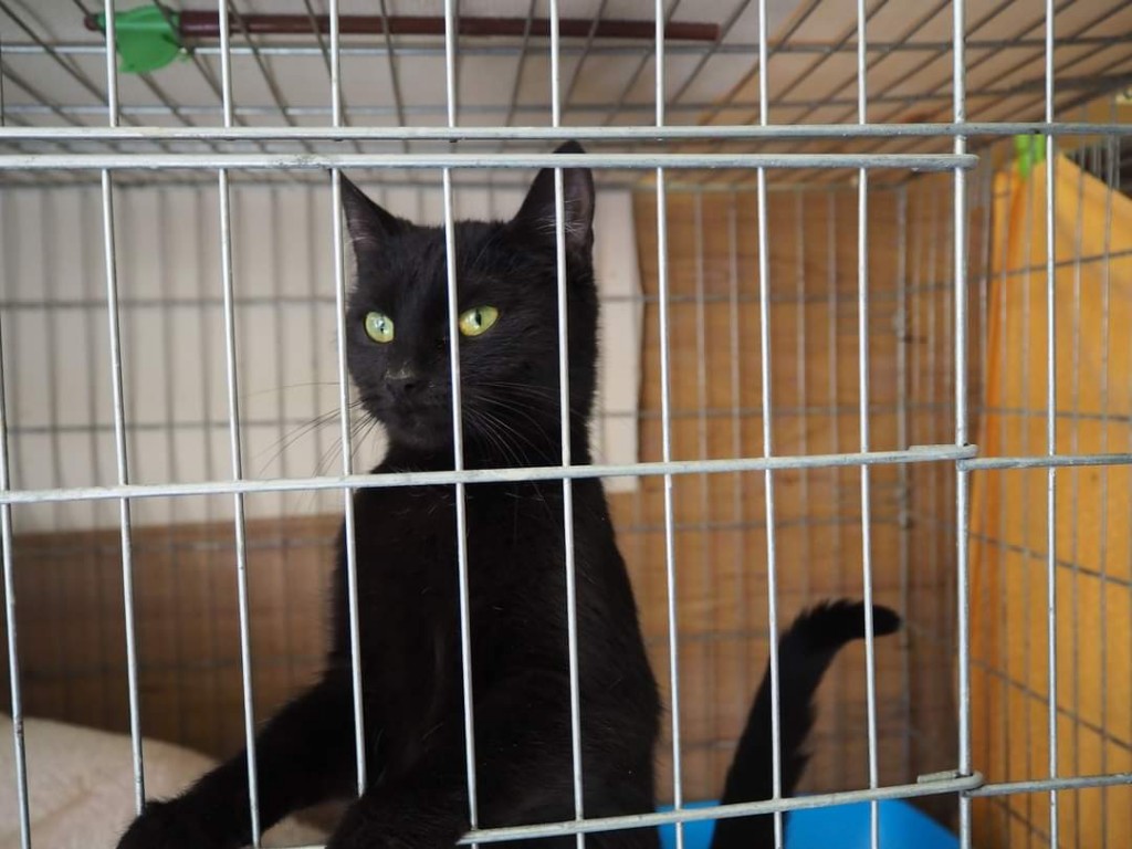 Adoptusie. Kenia – adoptowana :)