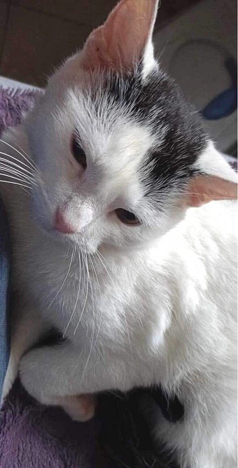 Rufina adoptowana :)