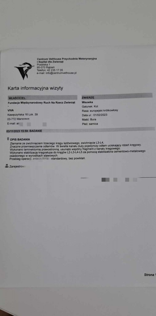 Wsuwka - zostaje w dt na stałe :)