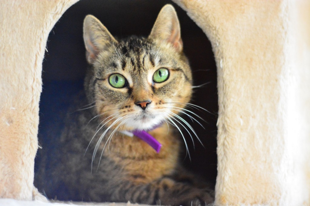 Zuzia i Marcelinka - w domach :) Marcelinka znowu walczy o zdrowie...