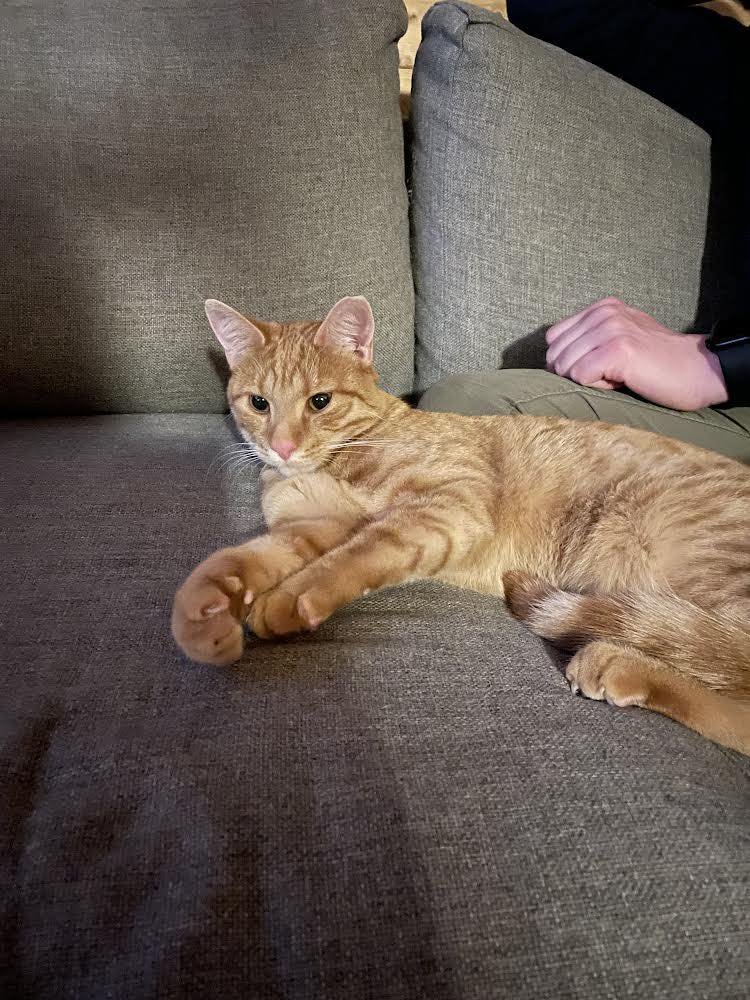 Leia - w domu :)