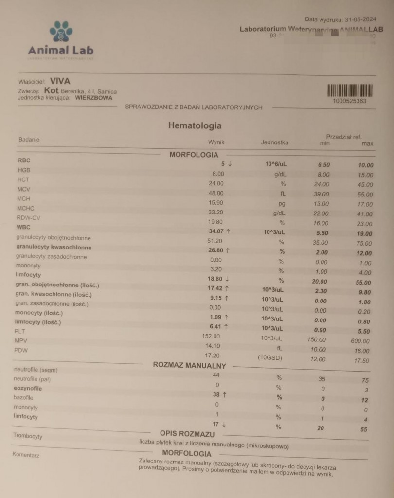 Berenika i jej dalsze losy