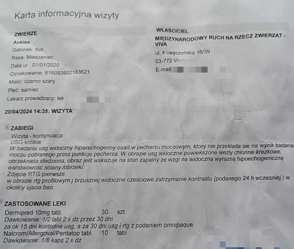 Ankles i Eurydyka – przyjaźń w bezdomności…