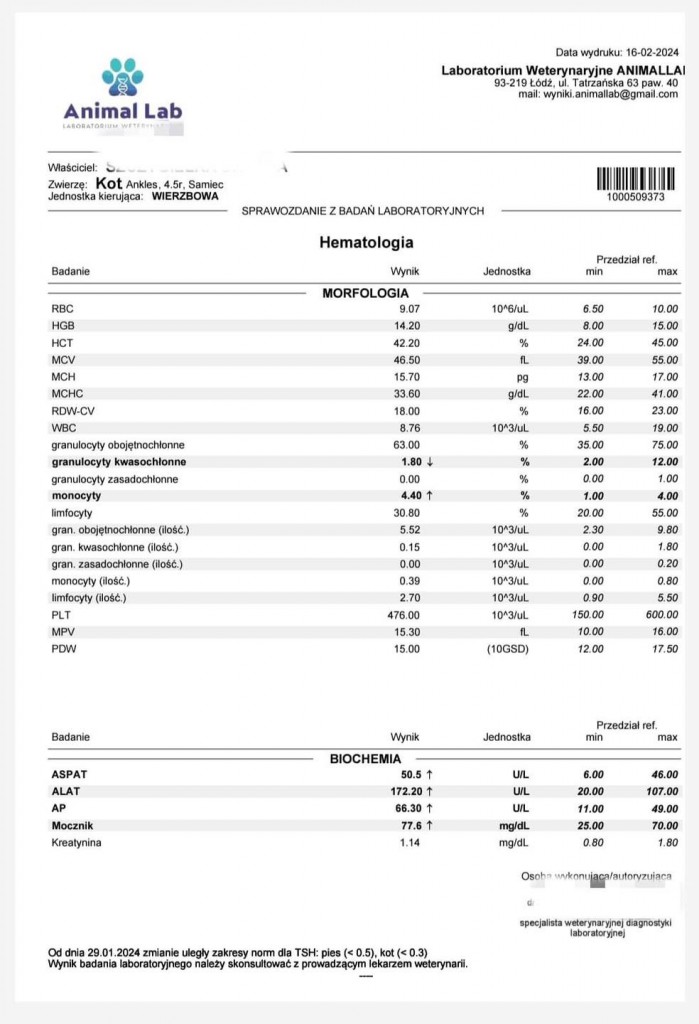 Ankles i Eurydyka – przyjaźń w bezdomności…