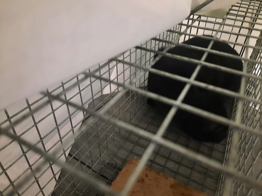 Luka - w domu :)