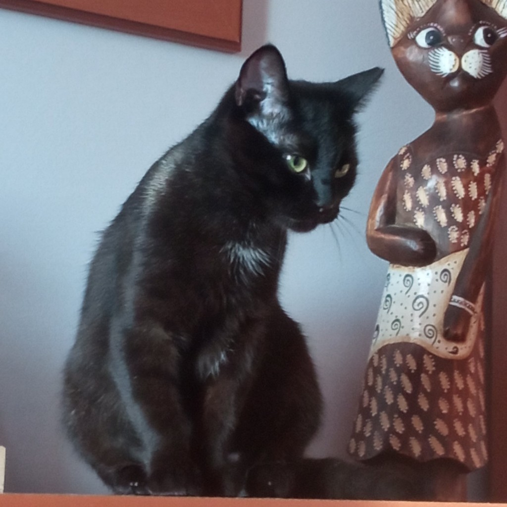 Luka - w domu :)