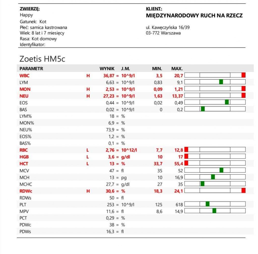 Happy – pomoc finansowa pilnie potrzebna