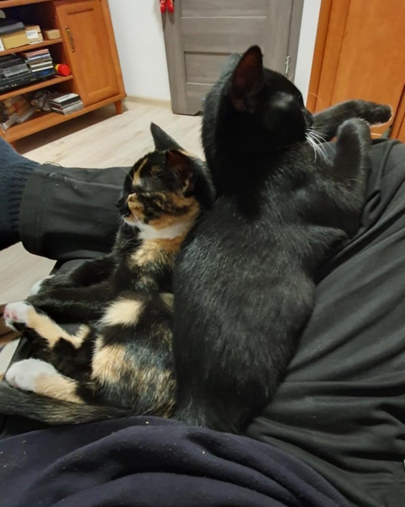 Elfi, Liana, Linda, Mati i Jody. Kolejna adopcja dzieci Tamary za nami
