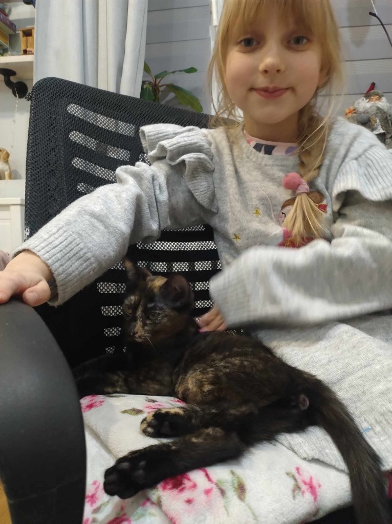 Anastazja i jej szóstka kociąt - w domach :)
