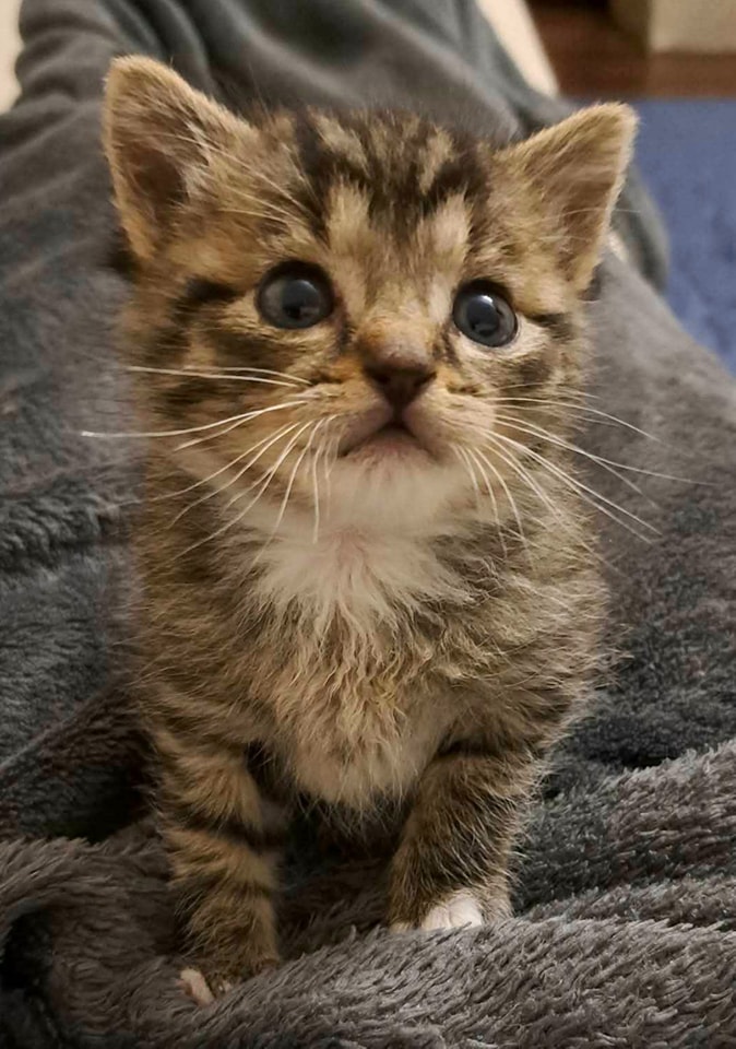 Z okacji Dnia Dziecka ❤