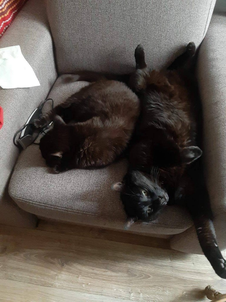 Basia i Piotruś potrzebują wsparcia ❤