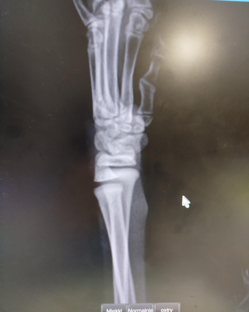 Kangu – zakończyła rehabilitację