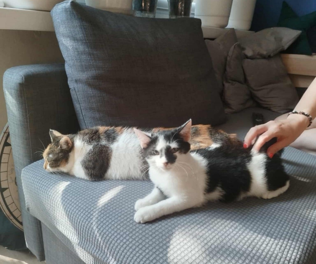 Sabinka, Sarusia i Sam. Sabinka i Sam w domu :)