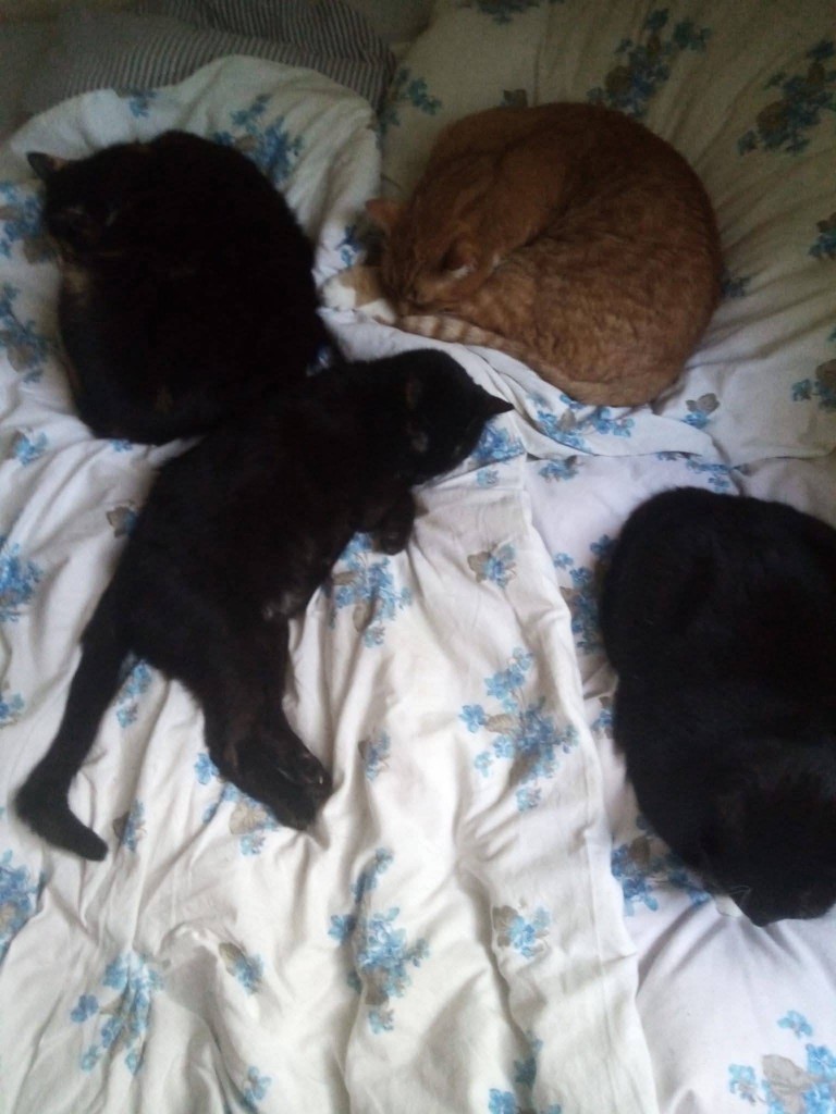 Miluś z niedowładem prosi o wsparcie ❤