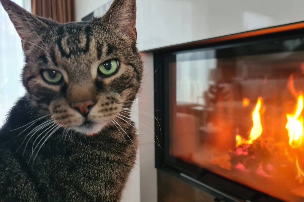Maciek Łokietek - w domu :)