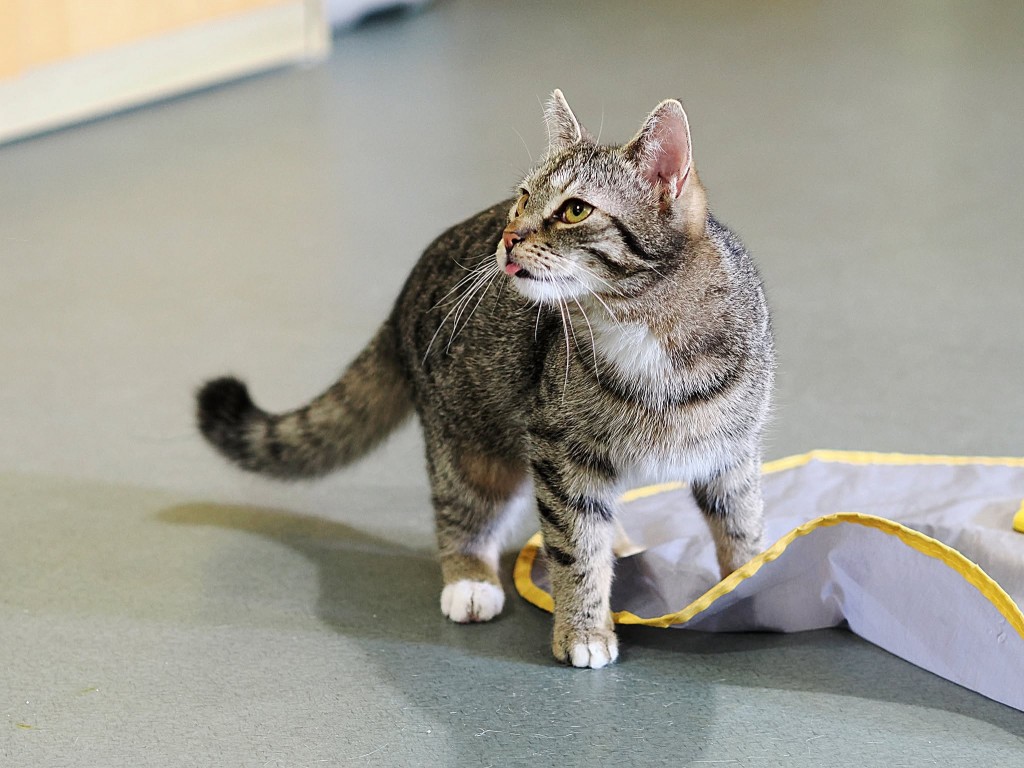 Adoptusie. Majka i Olek