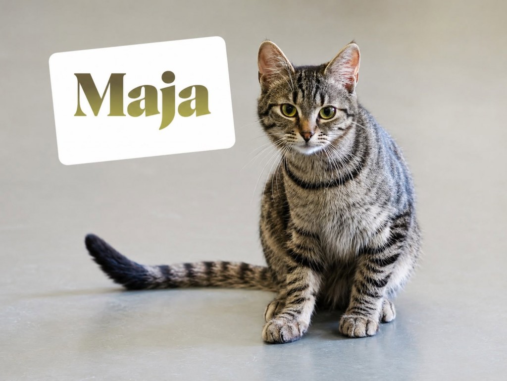 Adoptusie. Majka i Olek