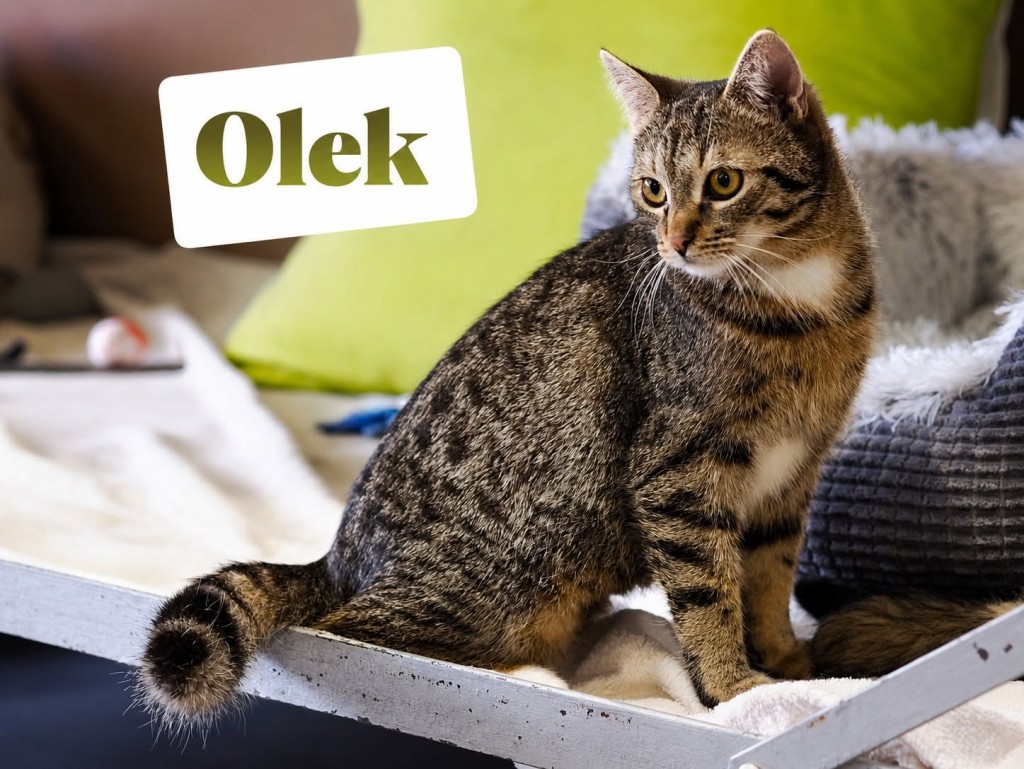Adoptusie. Majka i Olek